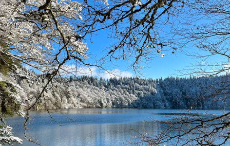 Découverte du lac Pavin, randonnée accompagnée avec transport en mini-bus_Super-Besse