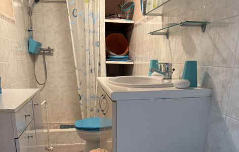 Villa Val Rose - Papillons Turquoises_Mont-Dore