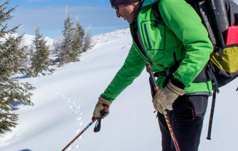 La classique découverte, randonnée accompagnée_Super-Besse