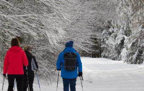 La classique découverte, randonnée accompagnée_Super-Besse