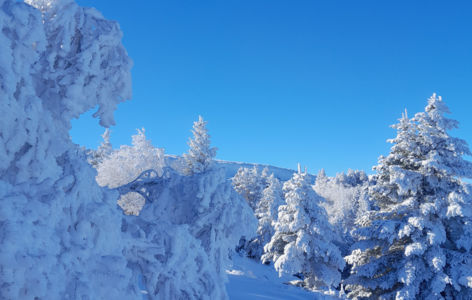 Découverte du massif, randonnée accompagnée hivernale_Mont-Dore