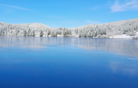Découverte du massif, randonnée accompagnée hivernale_Mont-Dore