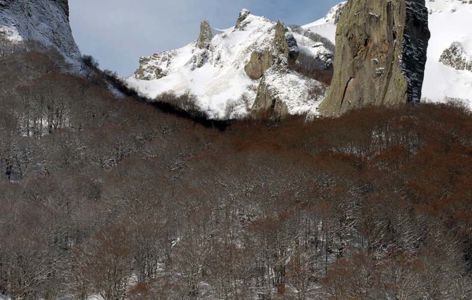 La réserve naturelle de Chaudefour, randonnée accompagnée hivernale_Chambon-sur-Lac