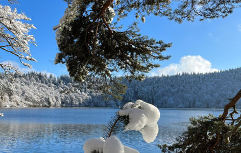 Entre volcans et truffade, randonnée hivernale accompagnée_La Bourboule