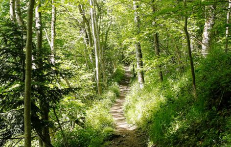 Les Virées du Sancy : la virée à la fraiche !_Besse-et-Saint-Anastaise