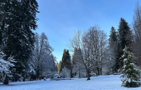 Parc Fenestre_La Bourboule