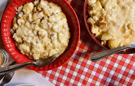 Entre volcans et truffade, randonnée hivernale accompagnée_La Bourboule