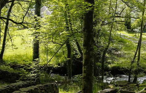 Les Virées du Sancy : la virée à la fraiche !_Besse-et-Saint-Anastaise