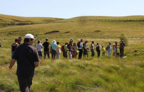 Visite tourbière