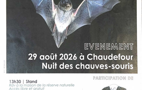 La nuit des chauves-souris_Chambon-sur-Lac