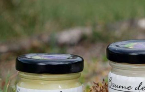Balade découverte des plantes médicinales_Valbeleix