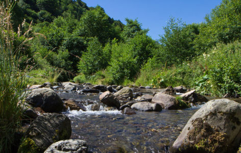 Sortie au fil de l'eau - la couze Chambon