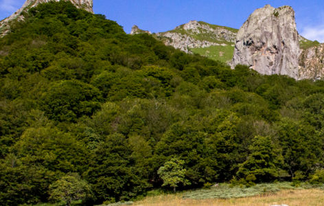 Découverte de la vallée de Chaudefour, randonnée accompagnée avec chauffeur_La Bourboule