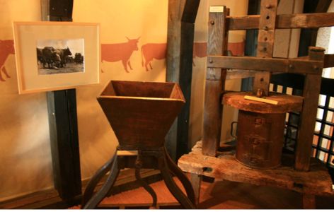 La Maison des Fromages