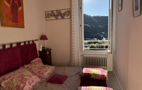 Villa Val Rose - Les Roses Rouges_Mont-Dore