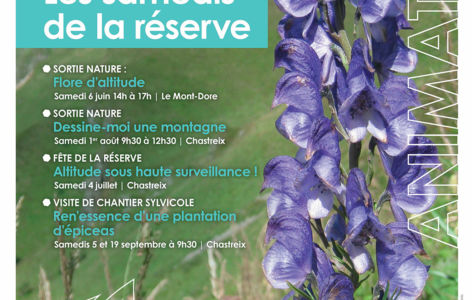 Sortie Nature : Ren’essence d’une plantation d’épicéas_Chastreix