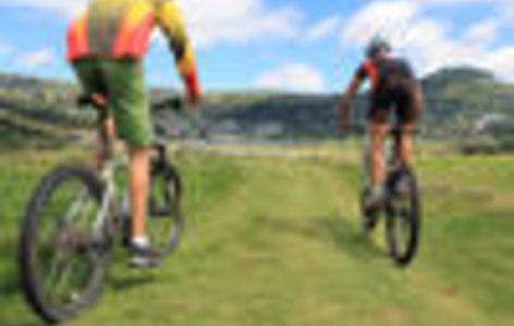 VTT