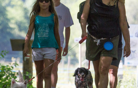 Randonnée accompagnée spéciale chiens_Super-Besse