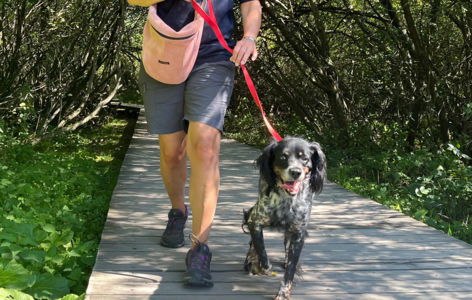 Randonnée accompagnée spéciale chiens_Super-Besse
