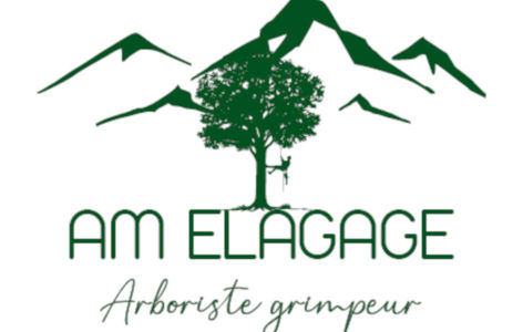 AM Elagage_Mont-Dore
