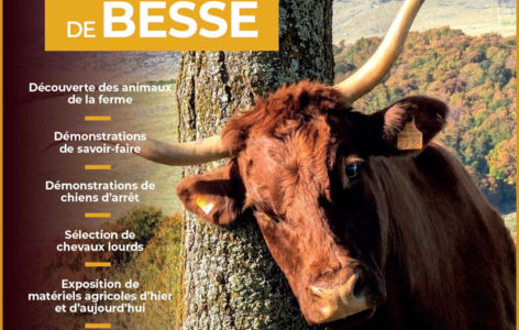 Village paysan de Besse_Besse-et-Saint-Anastaise