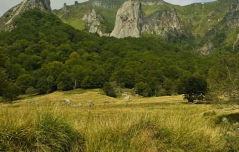 La Réserve naturelle de Chaudefour, randonnée accompagnée_Chambon-sur-Lac