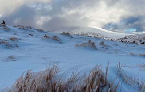 Les secrets du Sancy, randonnée accompagnée hivernale_Super-Besse