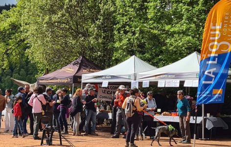 Sancy Rand'Espoir des 3 lacs_Besse-et-Saint-Anastaise