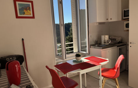 Villa Val Rose - Les Roses Rouges_Mont-Dore