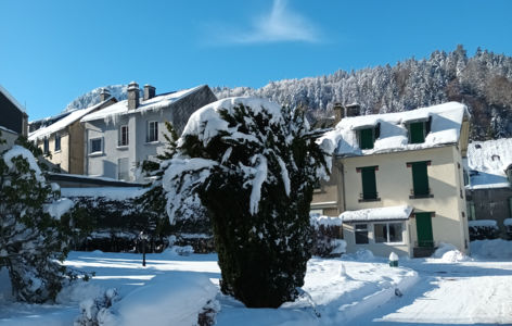 Les Marronniers n°2_Mont-Dore