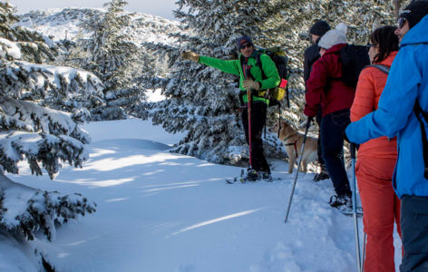 La Buronnière, randonnée accompagnée hivernale_Super-Besse