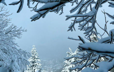La Grande Cascade, randonnée accompagnée hivernale_Mont-Dore