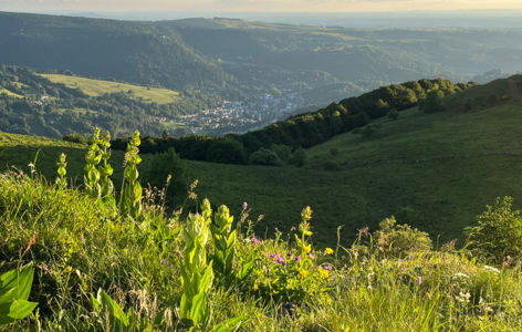Montagne sauvage, randonnée accompagnée_La Bourboule