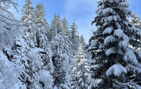 La Grande Cascade, randonnée accompagnée hivernale_Mont-Dore