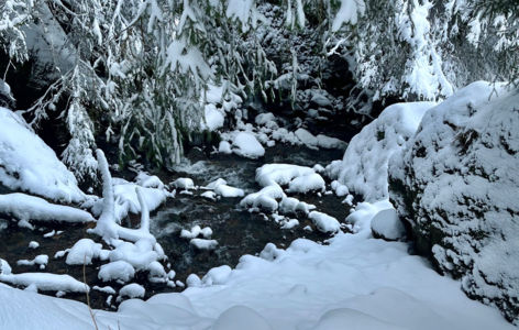 La Grande Cascade, randonnée accompagnée hivernale_Mont-Dore