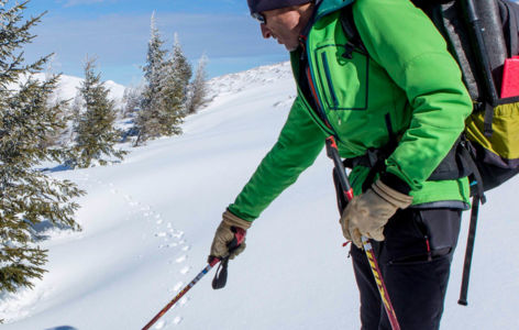 De pas en pattes au Mont-Dore, randonnée accompagnée_Mont-Dore