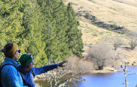 Découverte du lac de Guéry, randonnée accompagnée avec transport en mini-bus_La Bourboule