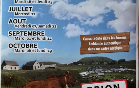 Foire traditionnelle de Brion_Compains