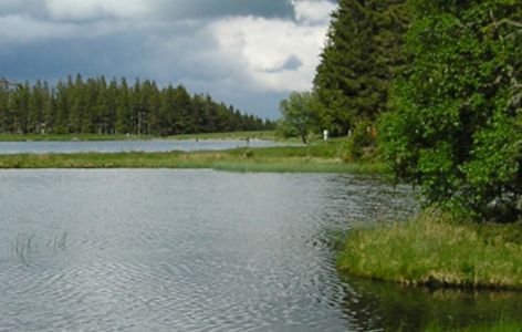 Découverte du lac Servières, randonnée accompagnée avec chauffeur_Mont-Dore