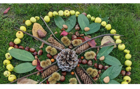 Atelier créatif : créature de la nature_Super-Besse