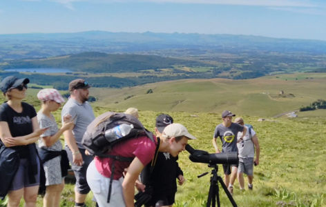 La faune de montagne, randonnée accompagnée_Super-Besse
