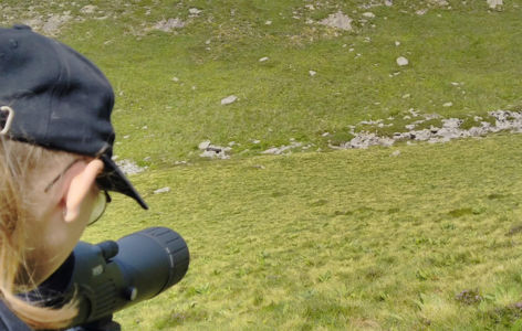 La faune de montagne, randonnée accompagnée_Super-Besse