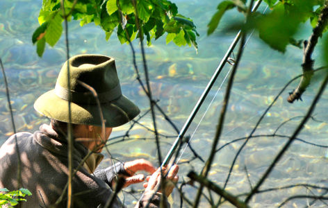 Site de pêche du lac Pavin à Besse_Besse-et-Saint-Anastaise