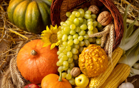 Marché d'automne_Saint-Diéry
