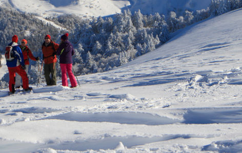 Histoire des volcans d'Auvergne au Mont-Dore, randonnée accompagnée_Mont-Dore
