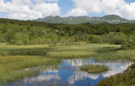 Randonnée aux plantes carnivores_Super-Besse