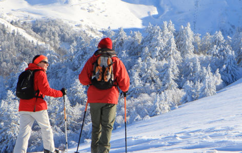 Histoire des volcans d'Auvergne au Mont-Dore, randonnée accompagnée_Mont-Dore