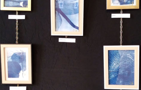 Exposition : cyanotypes de l'Orée Bleue_Mont-Dore