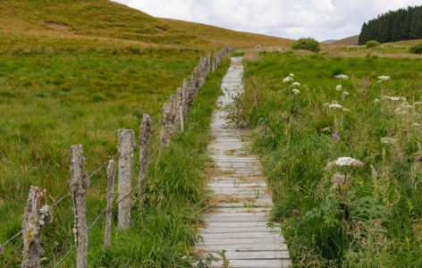 Randonnée aux plantes carnivores_Super-Besse