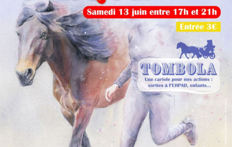 Les galopins font leur cirque